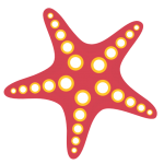 Illustration of a small, reddish starfish
